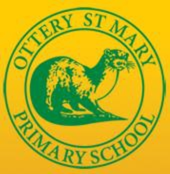 Ottery St Mary Primary School - Glow in the Dark Dodgeball Event - March 2023 (10/03/2023)